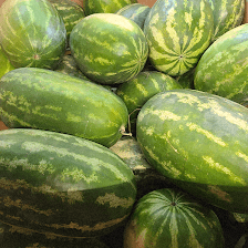 Gina's Fresh Produce
