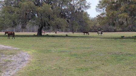Xtreme Horsemanship, Inc