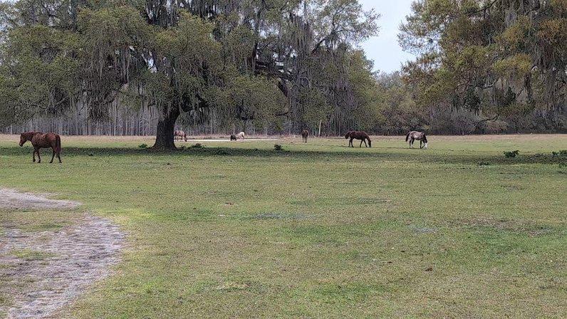 Xtreme Horsemanship, Inc