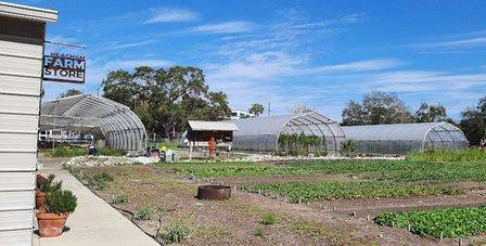 Meacham Urban Farm