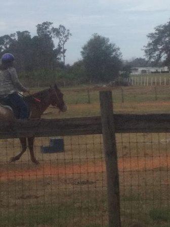 Heartland Horses Equine Activities & Learning