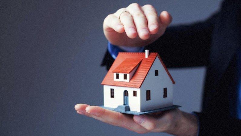 Roca Insurance