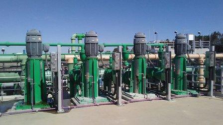 Corelusa Plant Services Inc.