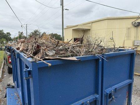 Blue Whale Junk Removal