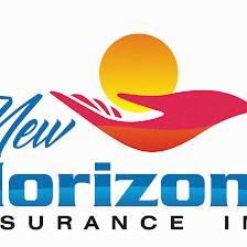 NEW HORIZONS INSURANCE INC