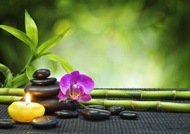 Bamboo Hollow Acupuncture