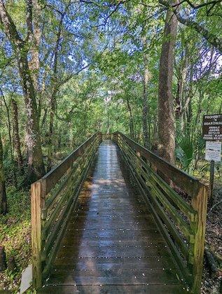 Lettuce Lake Park