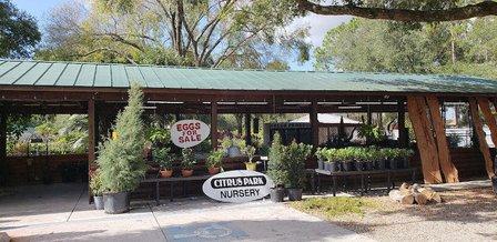 Citrus Park Nursery
