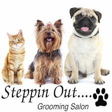 Steppin Out Grooming Salon