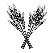 Noble Rice