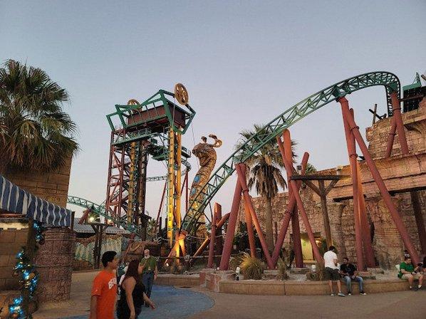 Cobra's Curse