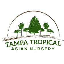 Tampa Tropical Asian Nursery