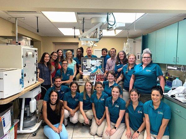 North Bay Animal Hospital
