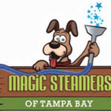 Magic Steamers of Tampa Bay