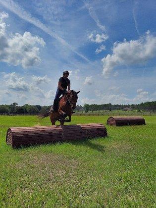 Parrish Oaks Farm