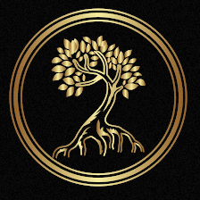 Mindful Elevation