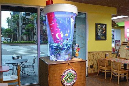 Tampa Aquarium Service