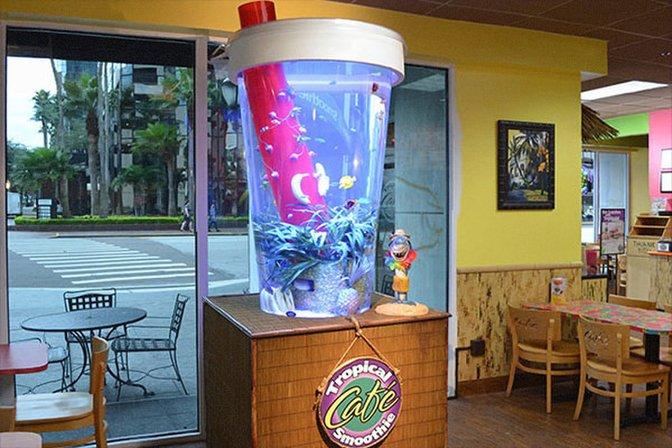 Tampa Aquarium Service