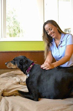 Brandon Lakes Animal Hospital