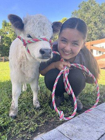 mini farm Florida