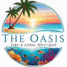 The Oasis Fish and Coral Boutique