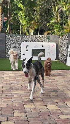 PAW-B&B LLC