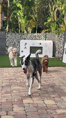 PAW-B&B LLC