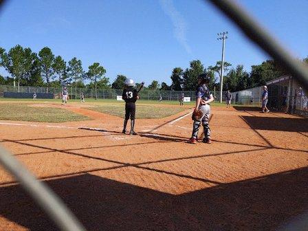 Live Oak Baseball/Softball Fields (North Tampa Athletic Association)