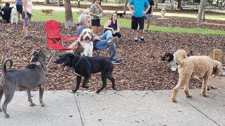 Crest Lake Dog Park