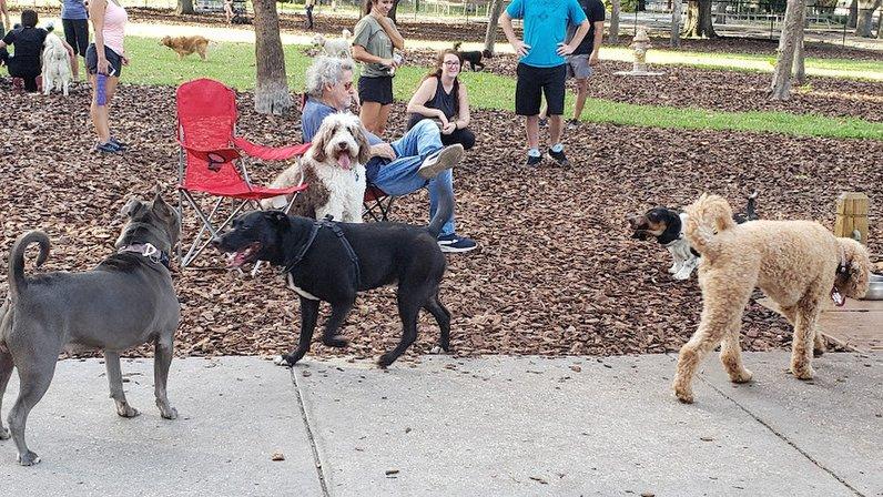 Crest Lake Dog Park