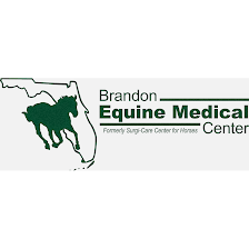 Brandon Equine Medical Center
