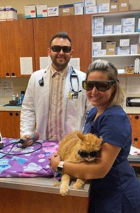 Pavilion Crossing Animal Hospital & Grooming