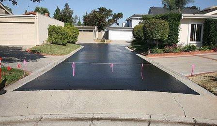 Tampa Asphalt Kings