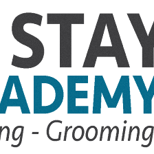 Sit N Stay Dog Academy