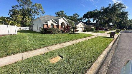 Mikey Mows Lawn Maintenance LLC