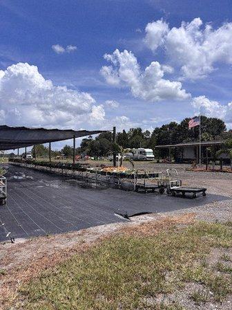 Brandon Sod Garden Center