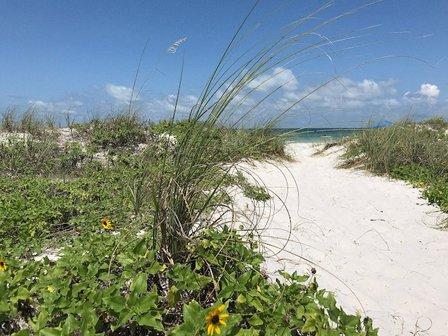Land Advisors Organization - Tampa Bay