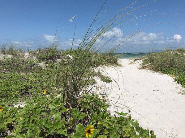 Land Advisors Organization - Tampa Bay