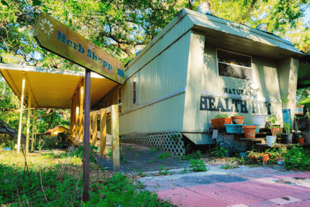 Natural Health Hut | Herbal Remedies, Organic Plants, & Holistic Workshops