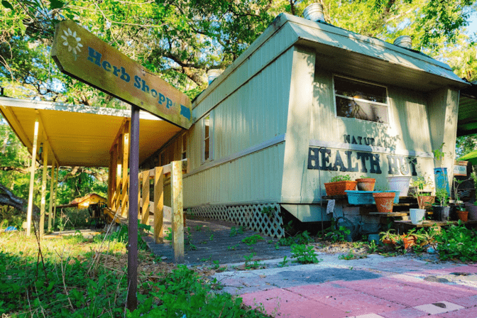 Natural Health Hut | Herbal Remedies, Organic Plants, & Holistic Workshops