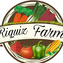 Riquiz Farm