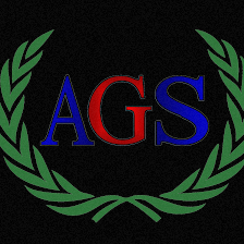 AGS Immigrant Center Inc