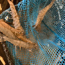 Pat’s Bait and Tackle