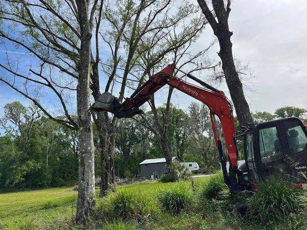 Precision Tree and Outdoor Services