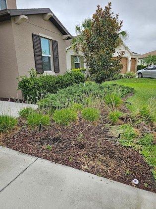 Wayne & Sons Landscaping