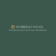 Pemberley House Australian Labradoodles