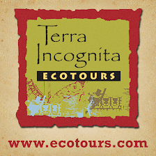 Terra Incognita Ecotours