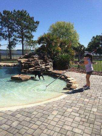 Echo Pool Services, Inc.