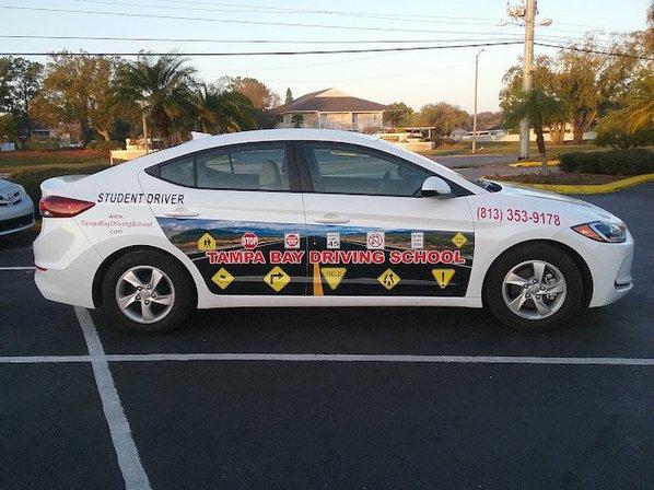 Tampa Bay Driving School