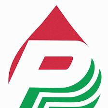 Paramount Pipe Lining Products